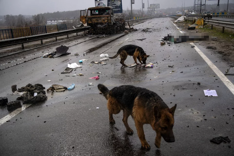 https://www.iefimerida.gr/sites/default/files/styles/in_article/public/article-images/2022-04/bucha-oukrania-friki-10.jpg.webp?itok=c6iYROzI