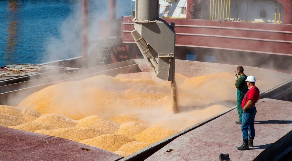 Φωτογραφία: Shutterstock