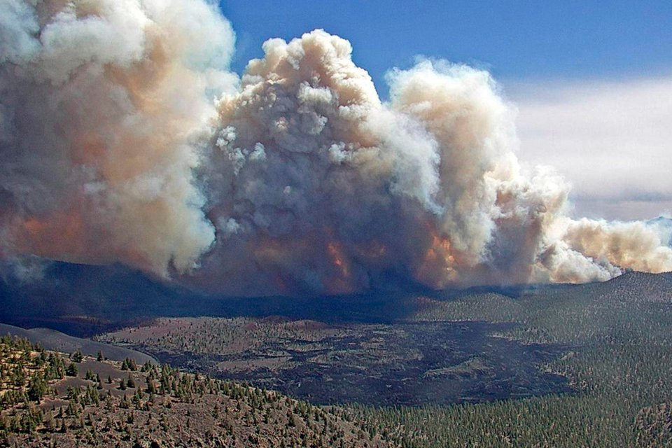 Μεγάλη φωτιά στην Αριζόνα / Coconino National Forest via AP