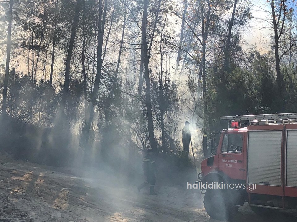 φωτιά στη Χαλκιδική