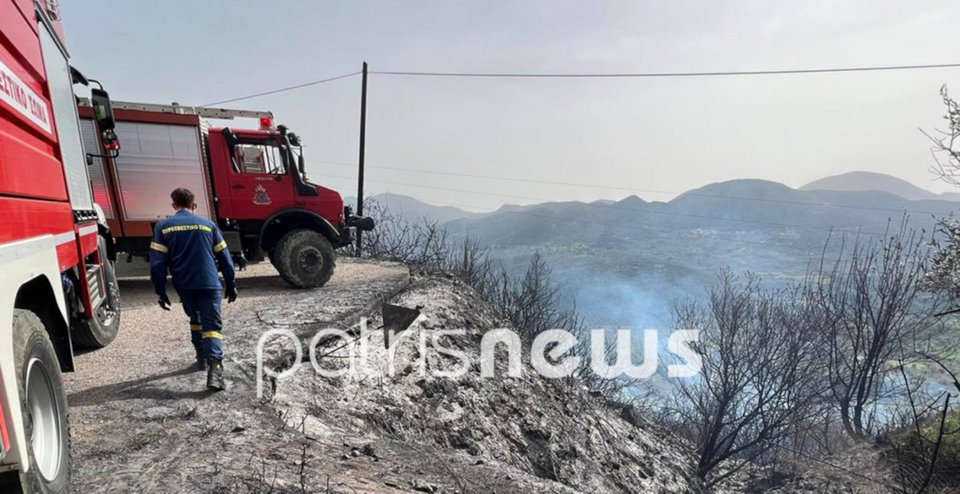 Φωτιά το μεσημέρι της Δευτέρας (4/4) στην Ηλεία / Φωτογραφία: patrisnews.com