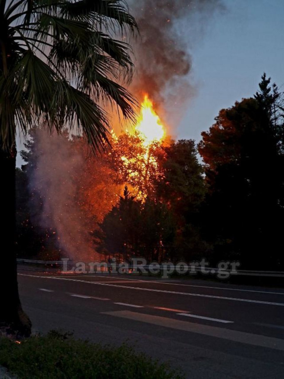 Φωτιά στην παλαιά εθνική οδό Αθηνών-Λαμίας / lamiareport.gr