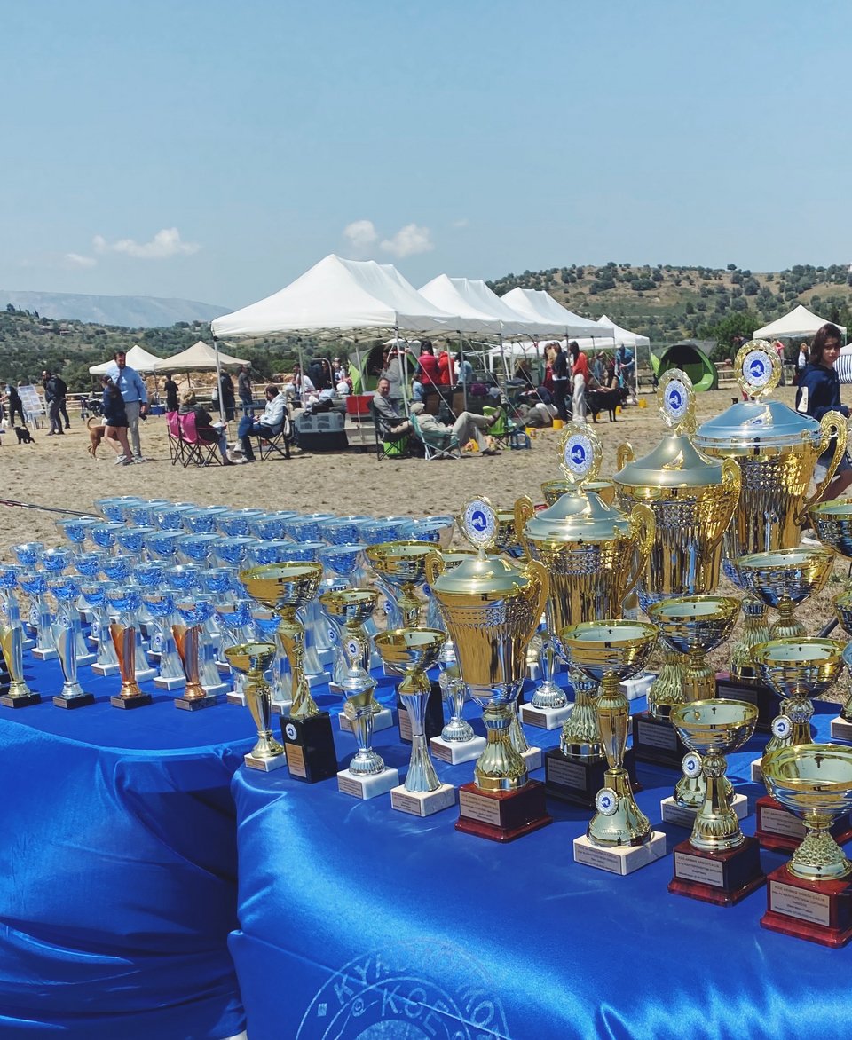 Τα κύπελα της ημέρας περιμένουν τους τετράποδους πρωταθλητές τους. Στο φόντο οι τέντες όπου οι συμμετέχοντες περιποιούνται τα σκυλιά τους.