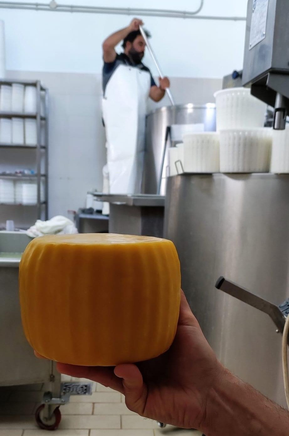 Ο Βασίλης Παπικινός αναζητά στα τυροκομεία τα καλύτερα τυριά για τις συνταγές του -  - Φωτογραφία: Vassilis Papikinos/Facebook 