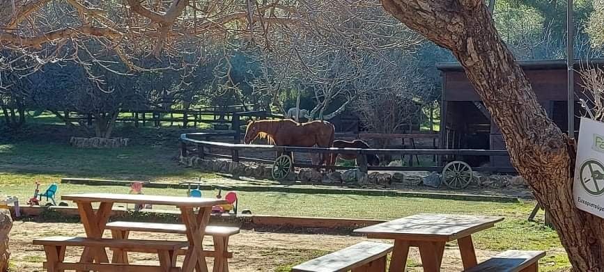 θεματικό πάρκο στην Αττική farma mou