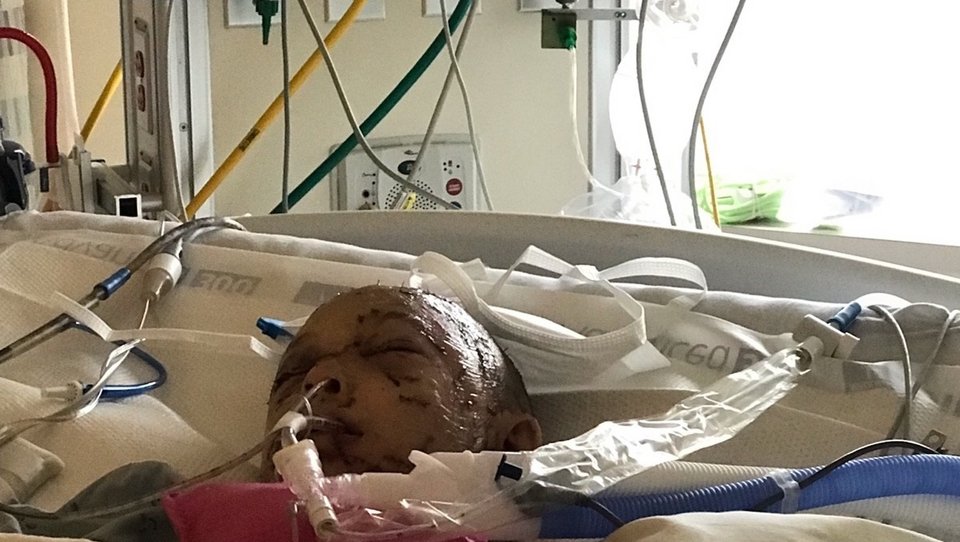 Φωτογραφία: www.gofundme.com