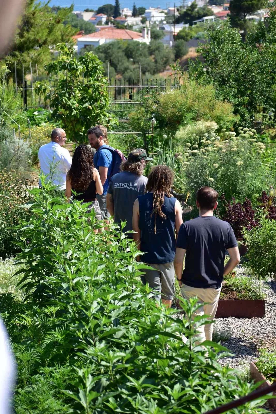 To συνεργείο του HBO Max στη φάρμα του Soil στο Αλεποχώρι. Τους ξεναγεί ο Τάσος Μαντής.