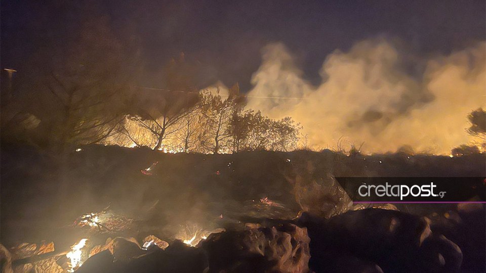 Φωτιά στο δάσος Κέρης / cretapost.gr