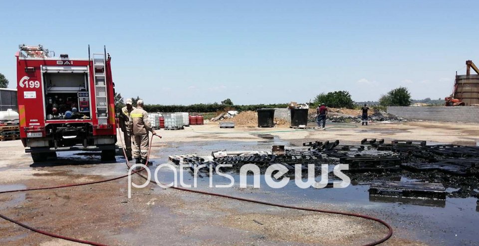 Φωτιά στο τραγανό Ηλείας / Patrisnews.gr