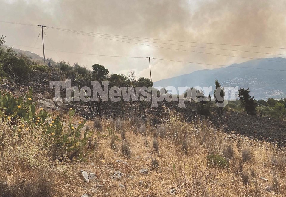 Φωτιά στον Βόλο