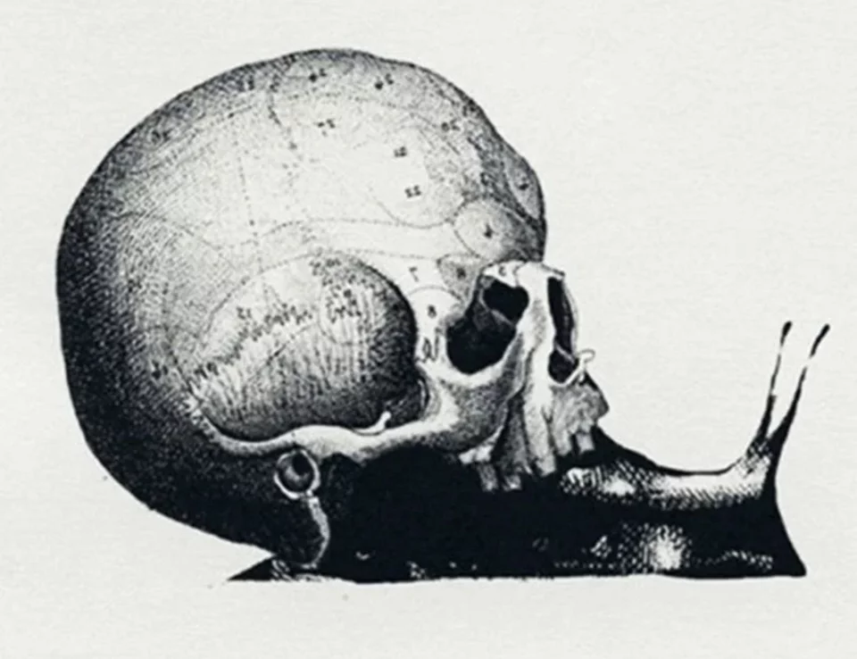 Iluzioni vizual zbulon punën e ëndrrave tuaja, në varësi të asaj që shihni së pari në foto