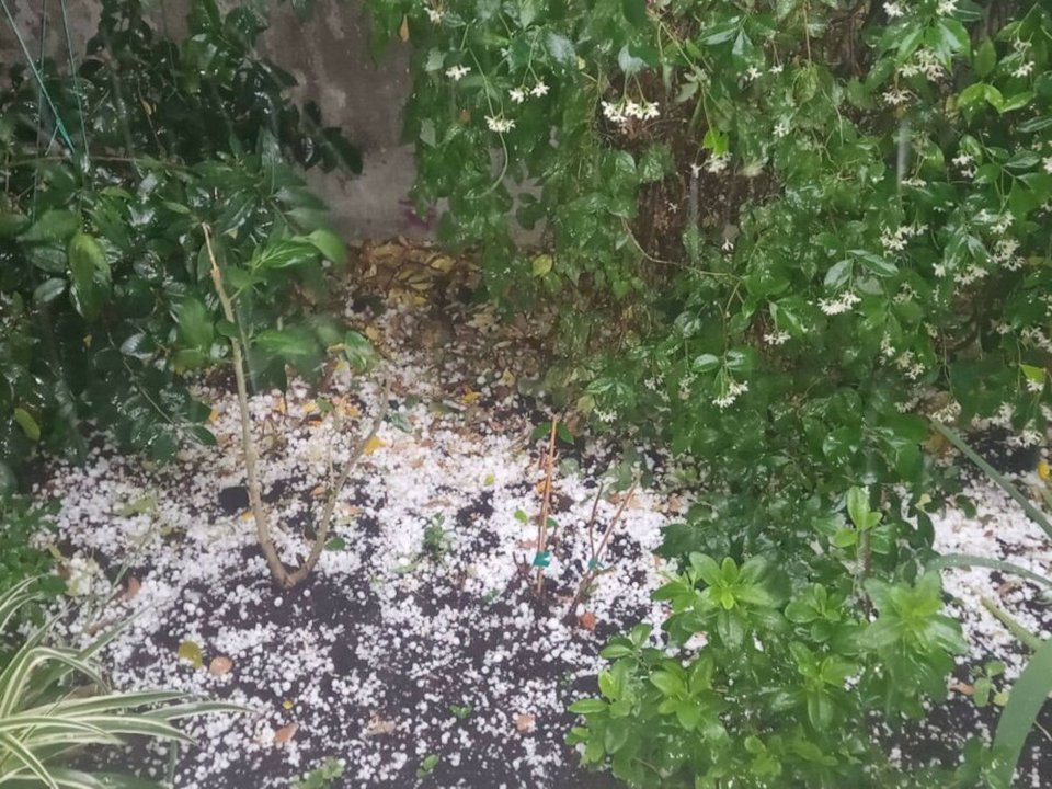 Τύρναβος χαλάζι χαλαζόπτωση