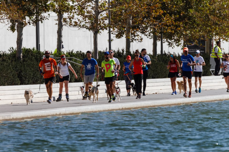 μαραθωνιος