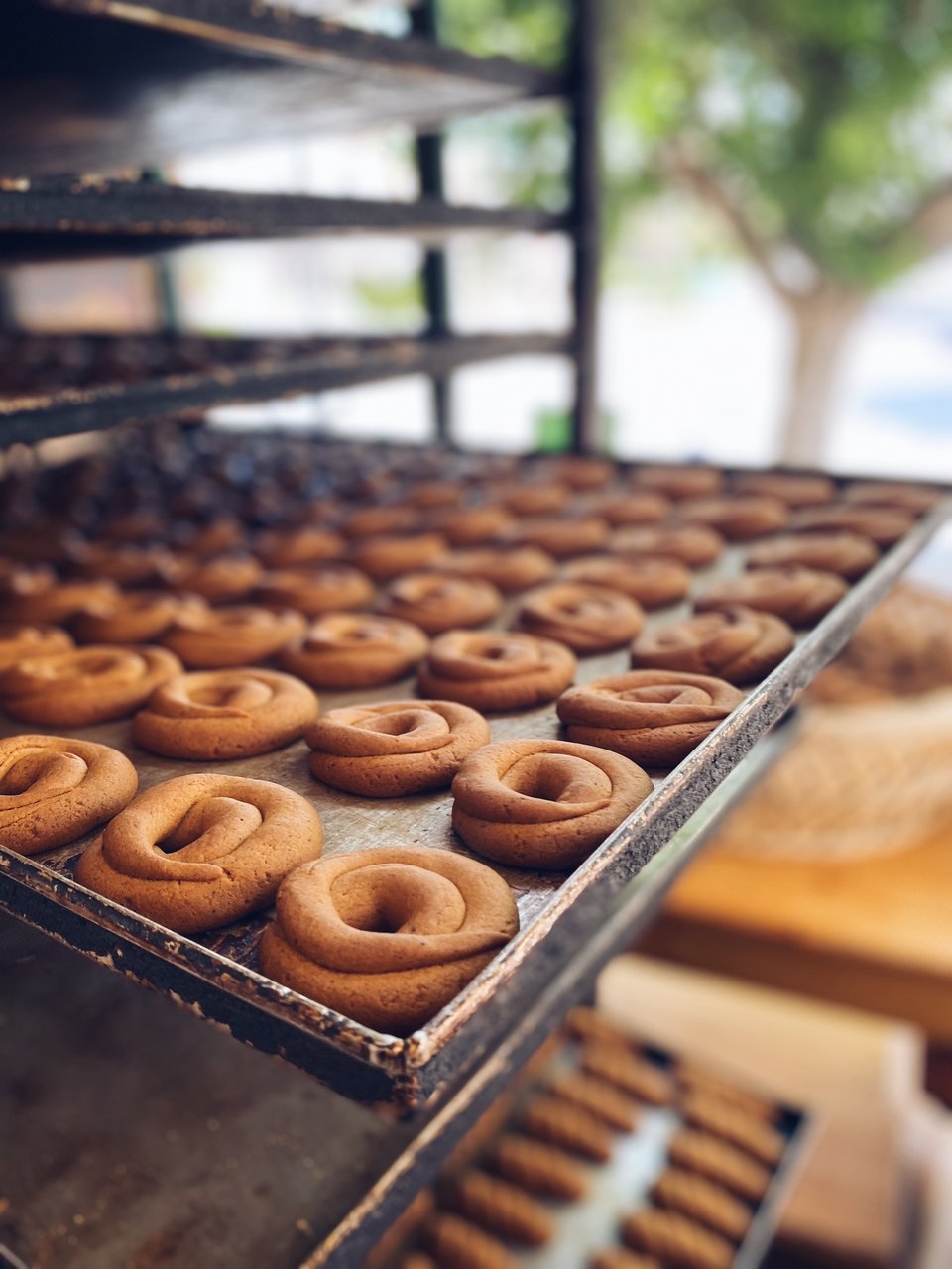 Τα κουλούρια Δαρεμάς μόλις έχουν βγει από το φούρνο και μοσχομυρίζουν.