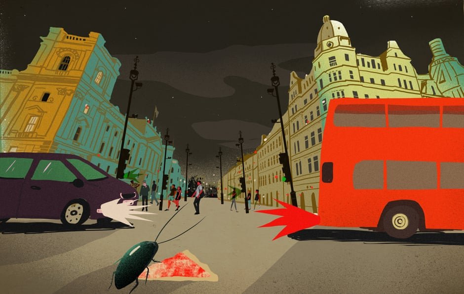 Illustration του καλλιτέχνη Lehel Kovacs για το βιβλίο του Ίαν Μακ Γιούαν «Η κατσαρίδα» / @le_hell/Instagram