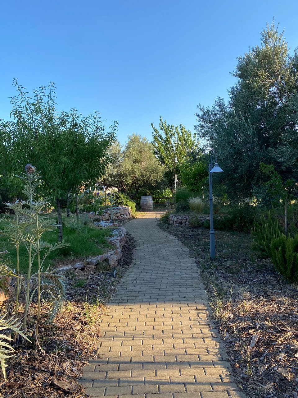 Τα πέτρινα μονοπάτια που οδηγούν από μποστάνι σε μποστάνι στο περιβόλι. 