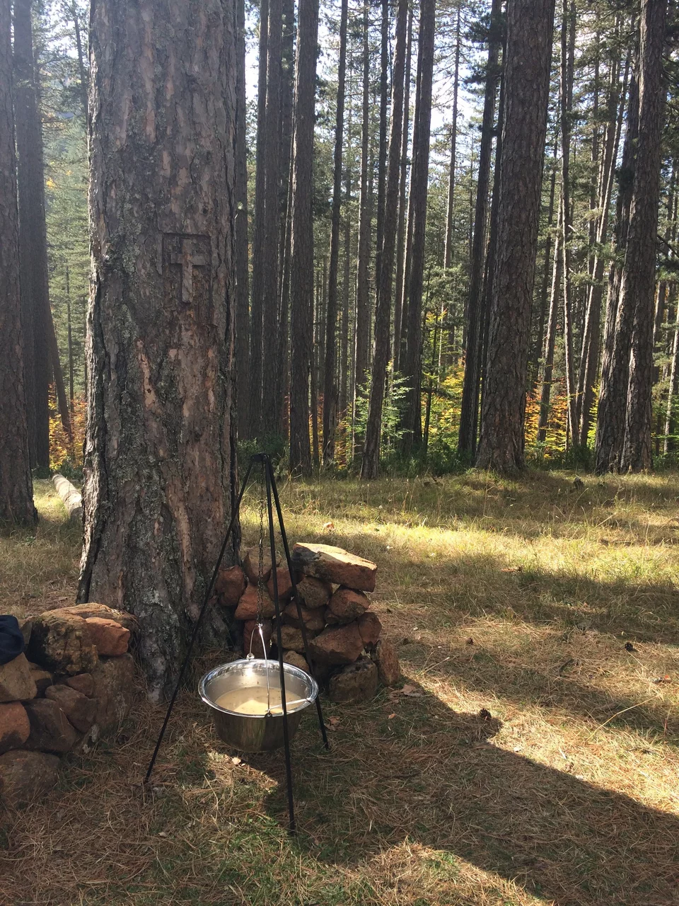 Το δάσος το φθινόπωρο δημιουργεί αρμονία και προσφέρει ευεξία.