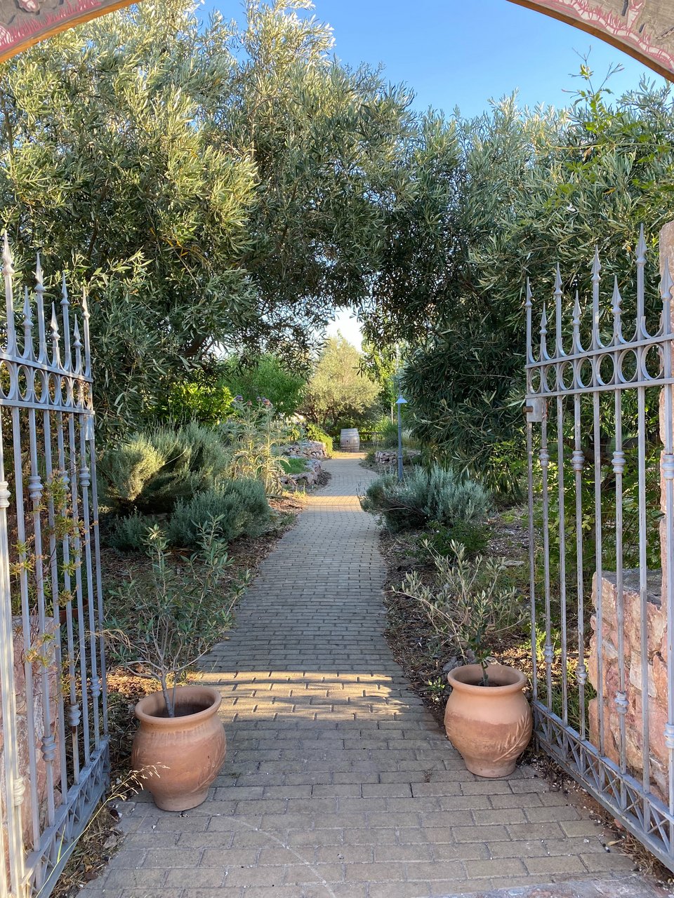 Περνώντας την πύλη του κτήματος σε γραπώνουν τα αρώματα  από τα βότανα και τα μυρωδικά της Μεσογείου. 