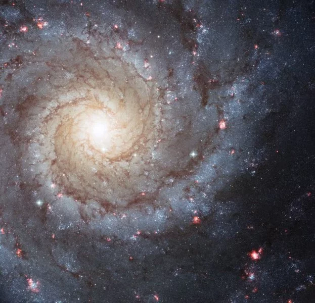 Η εικόνα του ίδιου γαλαξία από το Hubble / Πηγή: NASA