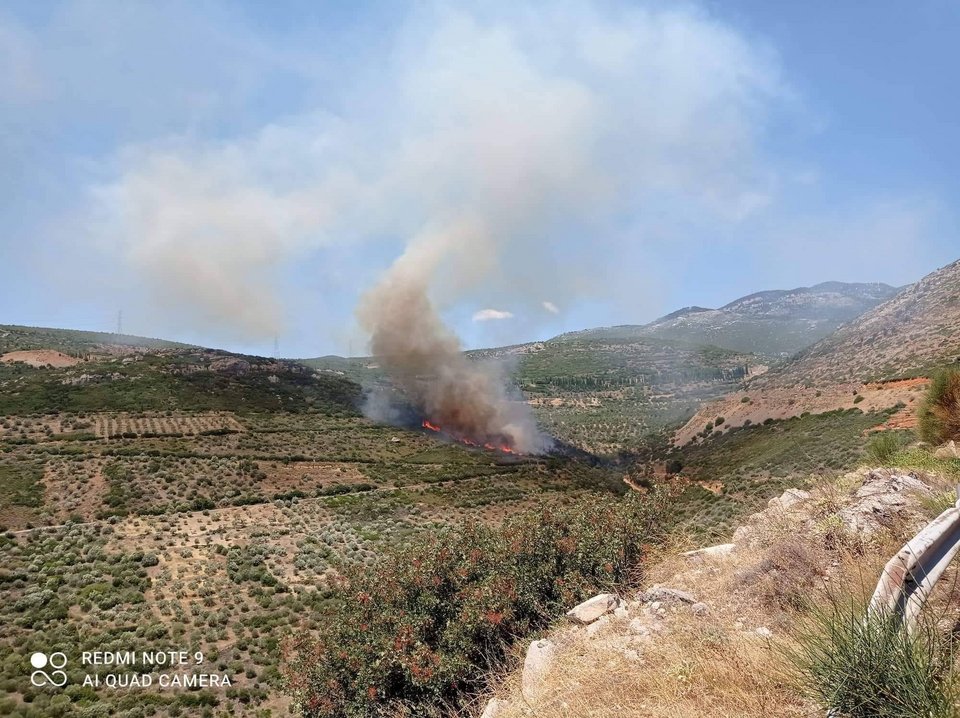 Φωτιά στο Δίστομο Βοιωτίας / Facebook-Δημήτρης Μπρέμπος