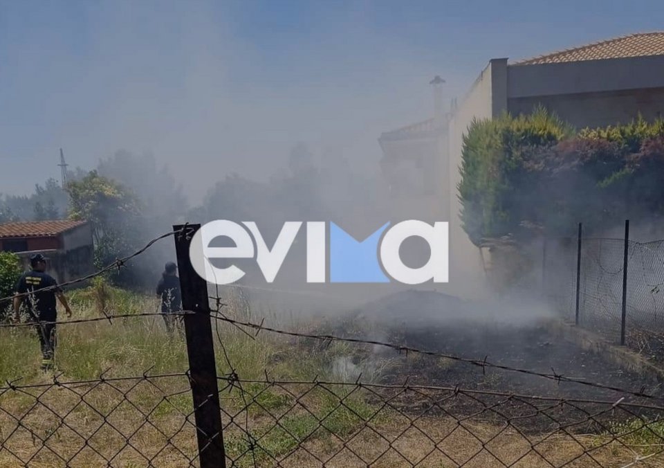 Φωτιά στην Ερέτρια / evima.gr
