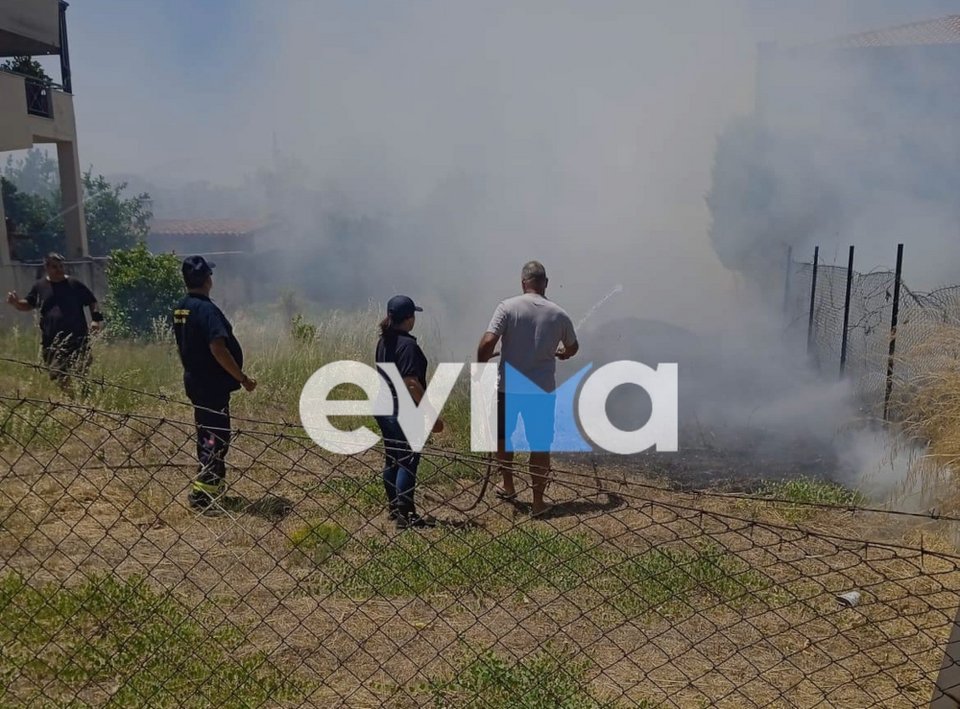 Φωτιά στην Ερέτρια / evima.gr