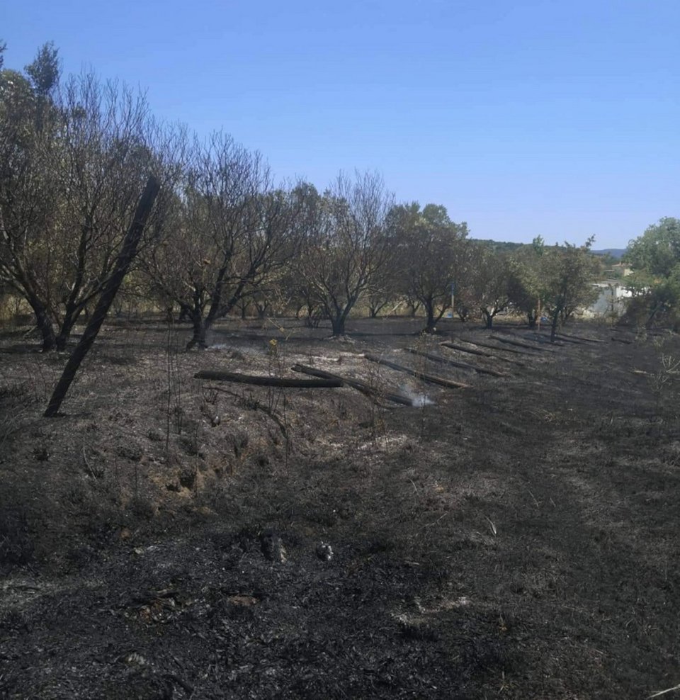 Φωτογραφία: halkidikinews.gr