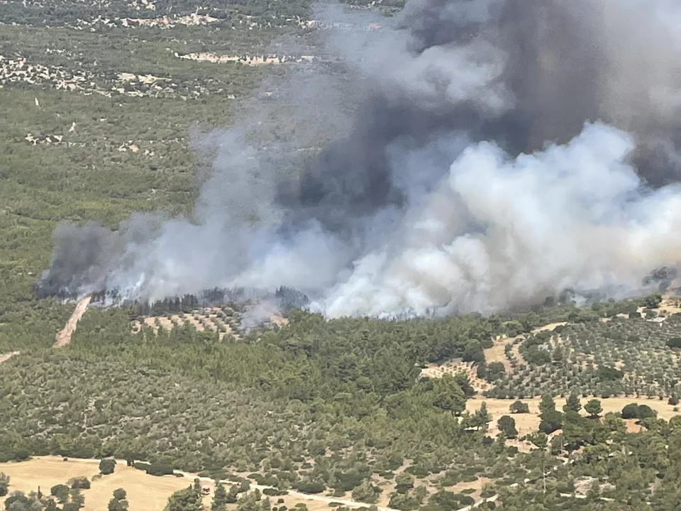 Μεγάλη η φωτιά στα Μέγαρα: Απειλούνται σπίτια, πήρε διαστάσεις - Με 112 εκκενώθηκε η Ζάχουλη 6 fotia zaxouli megara .jpeg
