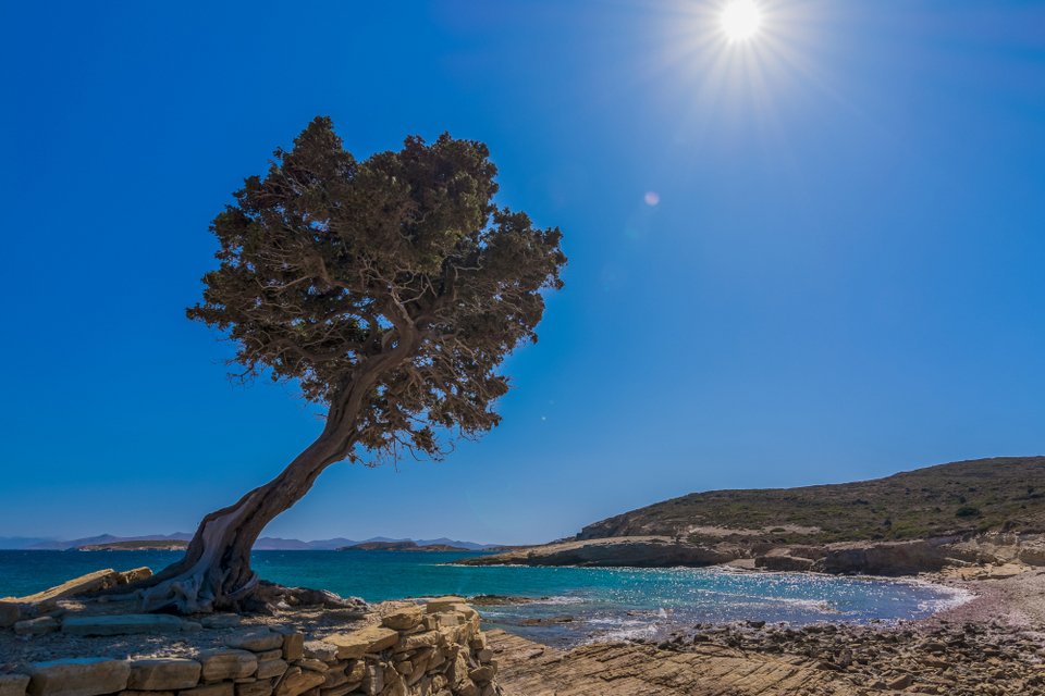 Λειψοί