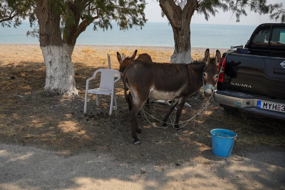 Incendiul din Lesvos prin 20 de fotografii și videoclipuri șocante - Flăcările au ajuns la plajă Foto: AP Photo/Panagiotis Balaskas