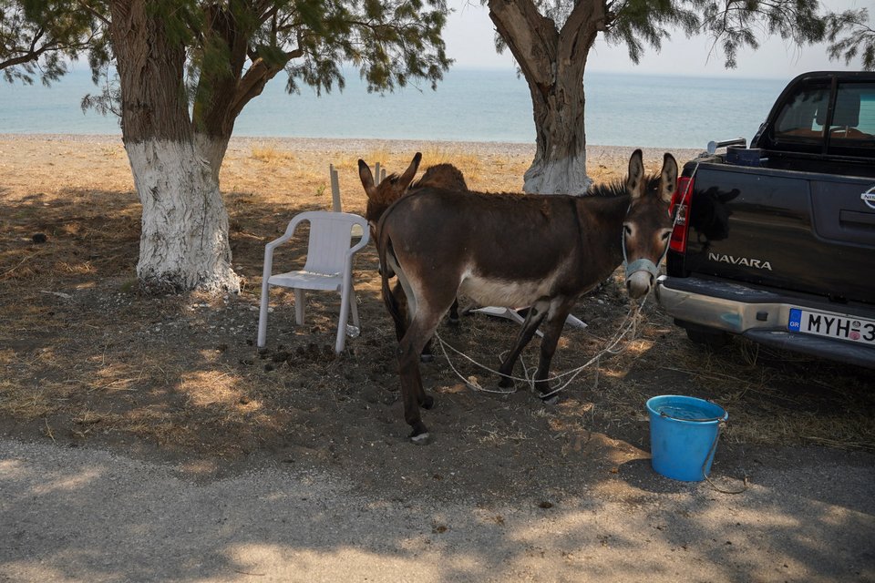 Φωτογραφία: AP Photo/Panagiotis Balaskas
