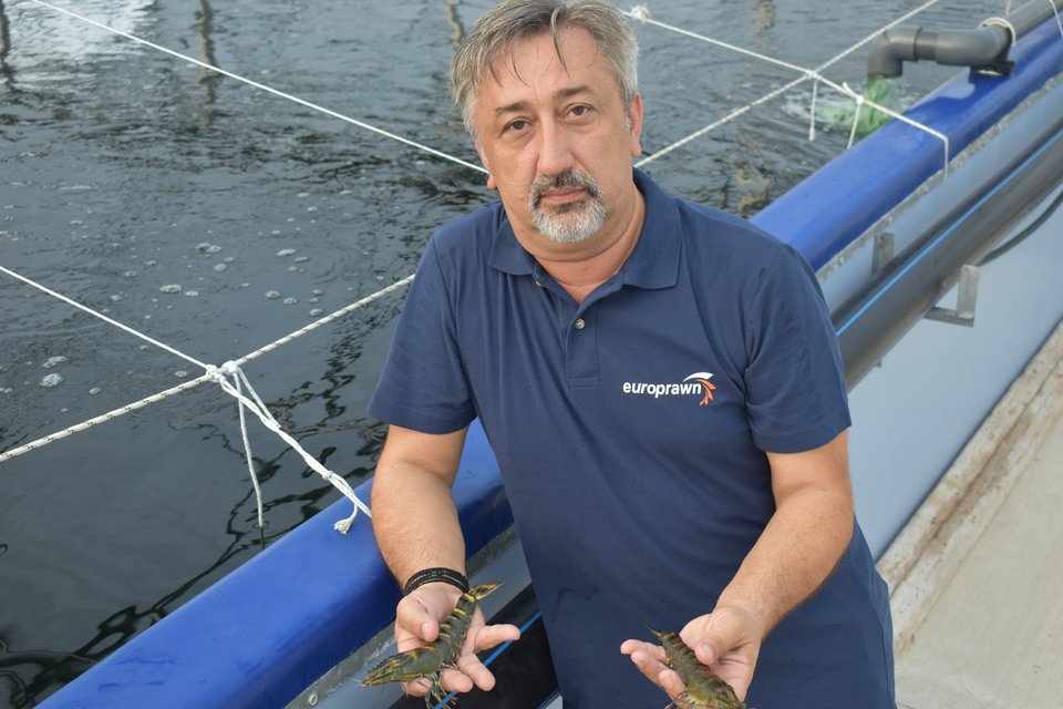  Ναπολέων Τσάνης 