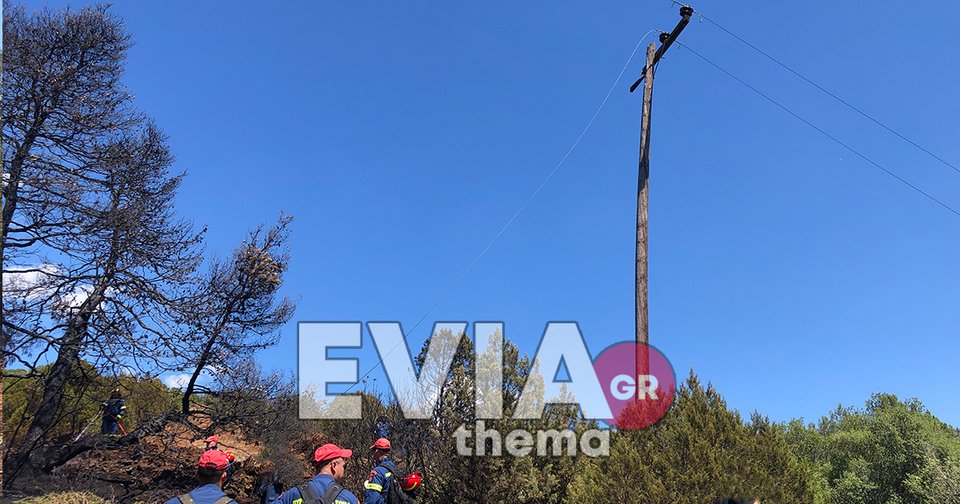 Φωτιά στα Ψαχνά από βραχυκύκλωμα σε κολώνα της ΔΕΗ