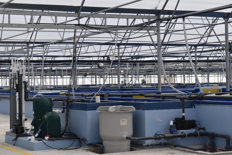 Το Βιοασφαλές Κέντρο Υδατοκαλλιέργειας Θεσπρωτίας «παντρεύει» τεχνολογίες υδατοκαλλιέργειας με νέες καινοτόμες τεχνολογίες