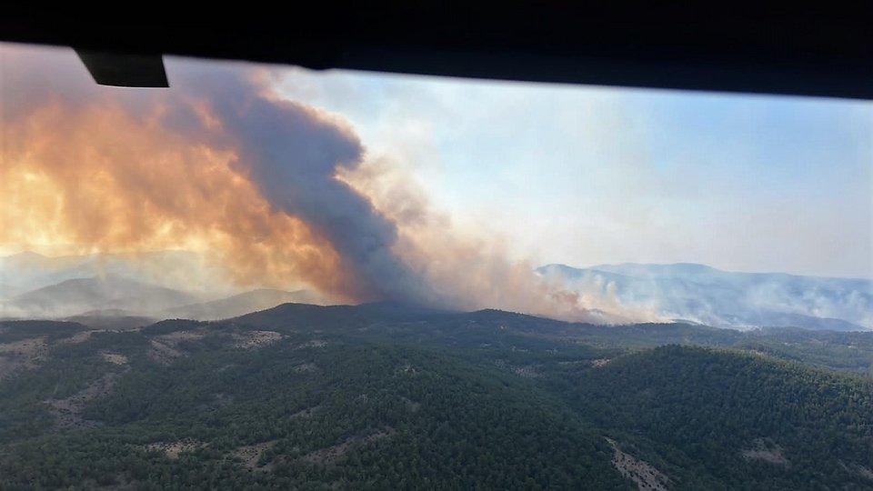 Πυρκαγιά στο Εθνικό Πάρκο της Δαδιάς. Φωτογραφία από INTIMENEWS.GR