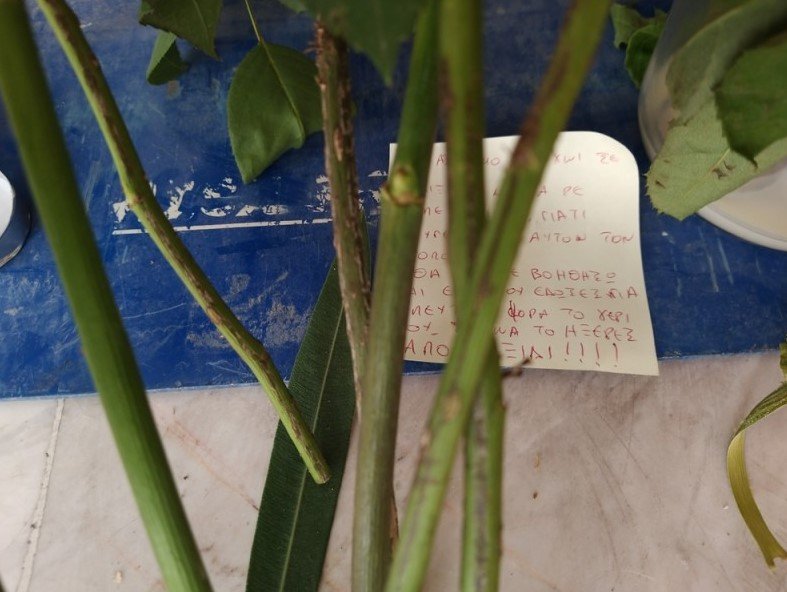 Φωτογραφία από PARALLAXIMAG.GR