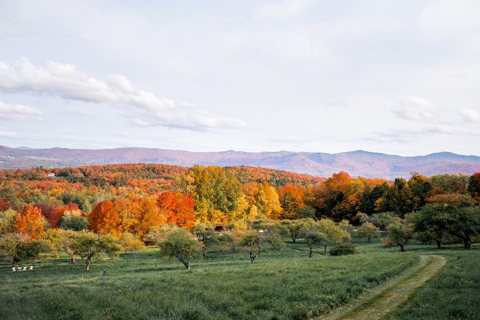 Η φάρμα στο Βερμόντ στην οποία ζει η οικογένεια της Alanna O’Neil  - Φωτογραφία: Courtesy of Alanna O’Neil 