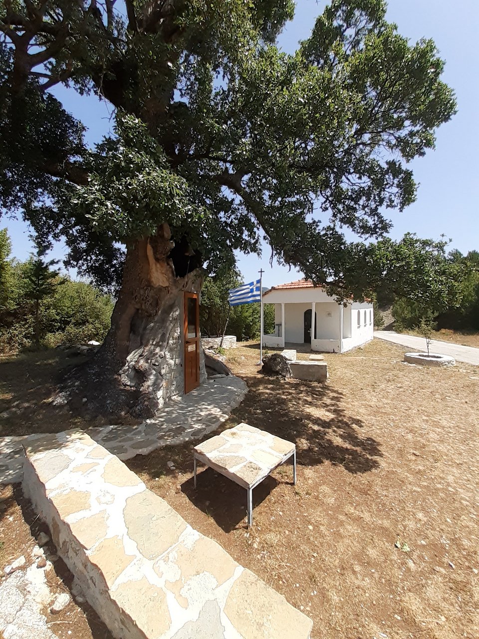 Η δεντροεκκλησιά του Αγίου Παϊσιου