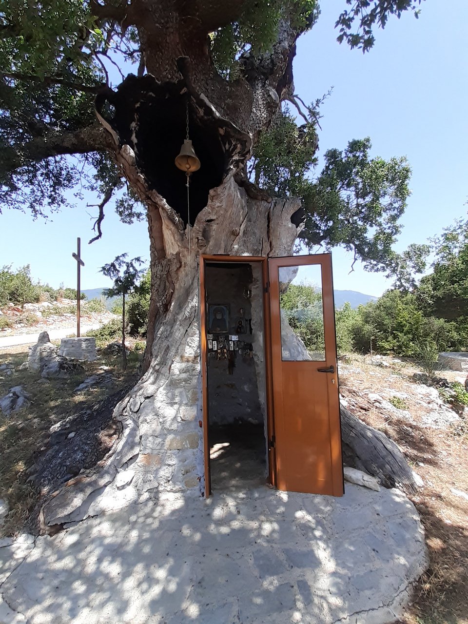 Η δεντροεκκλησιά του Αγίου Παϊσιου