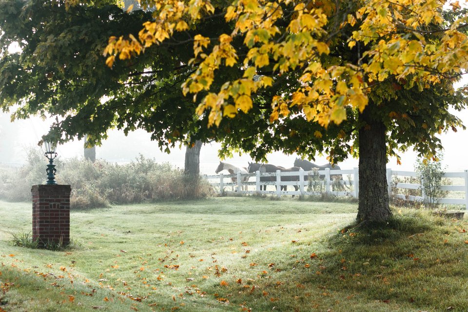 Η φάρμα με τα άλογα στο Βερμόντ όπου μεγάλωσε η Alanna O’Neil - Φωτογραφία: Courtesy of Alanna O’Neil