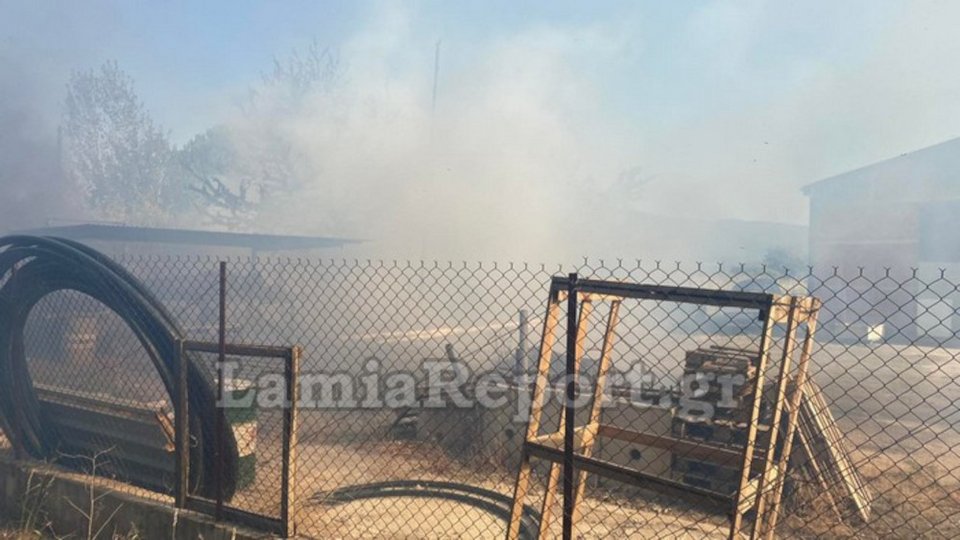 Φωτιά σημειώθηκε στη Λαμία γύρω από το τοπικό ΤΕΙ / lamiareport.gr