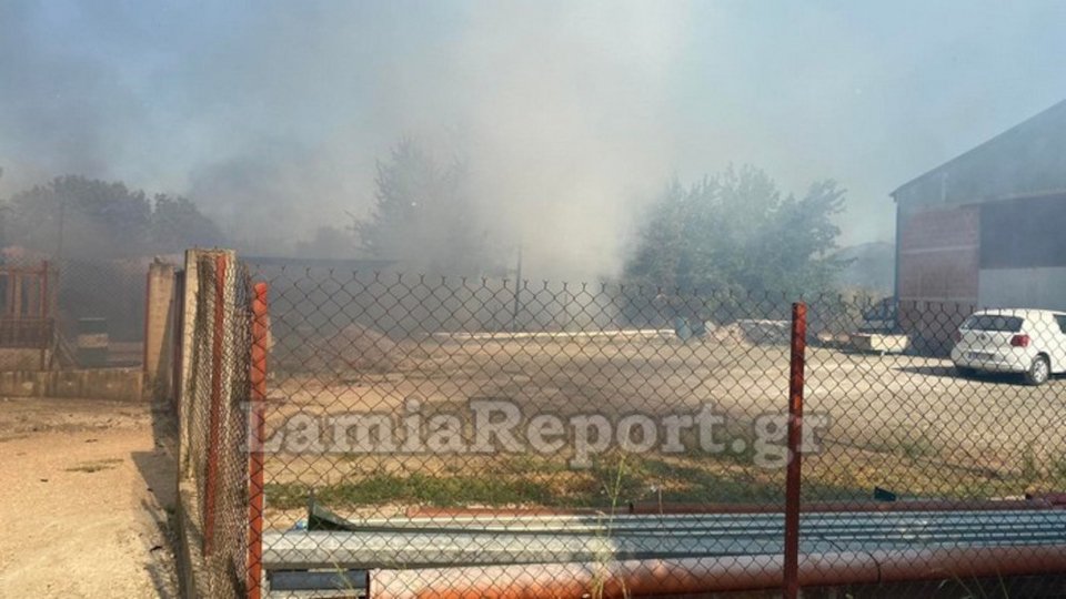 Φωτιά σημειώθηκε στη Λαμία γύρω από το τοπικό ΤΕΙ / lamiareport.gr