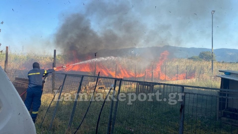 Φωτιά σημειώθηκε στη Λαμία γύρω από το τοπικό ΤΕΙ / lamiareport.gr