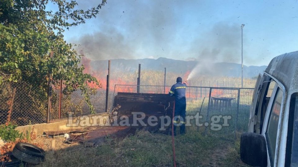Φωτιά σημειώθηκε στη Λαμία γύρω από το τοπικό ΤΕΙ / lamiareport.gr