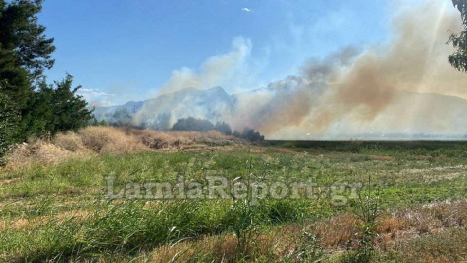 Φωτιά σημειώθηκε στη Λαμία γύρω από το τοπικό ΤΕΙ / lamiareport.gr