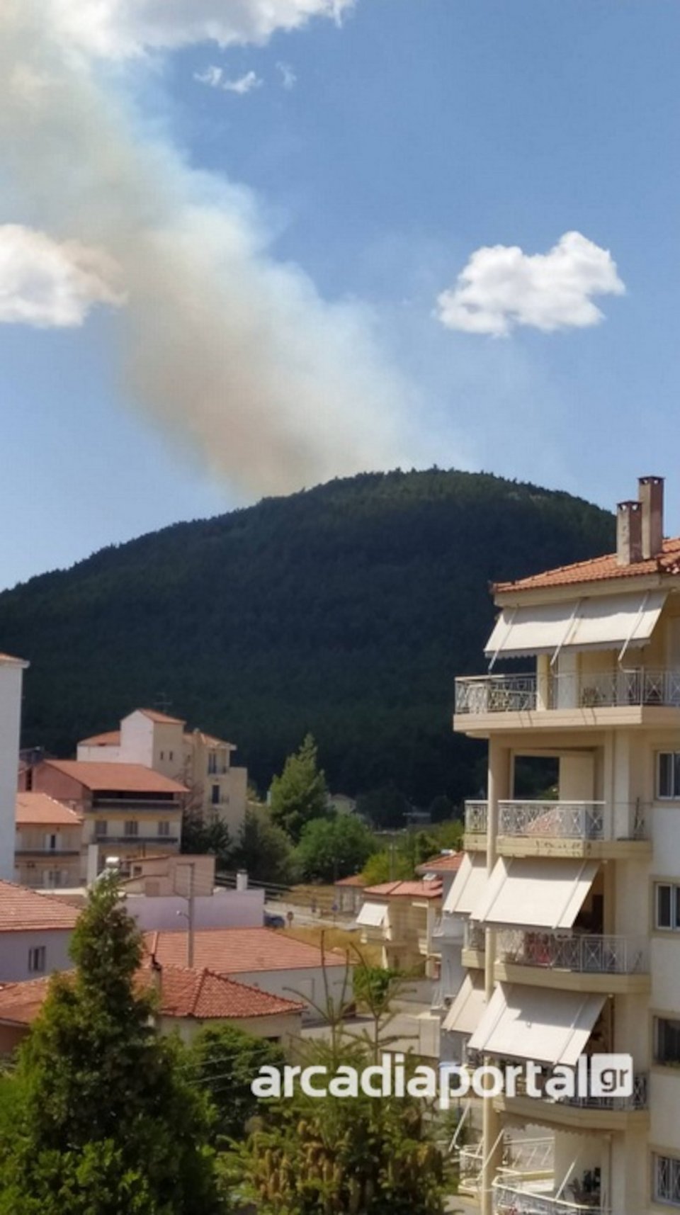 Φωτιά σημειώθηκε σήμερα, Τρίτη, στο Μαίναλο / arcadiaportal.gr
