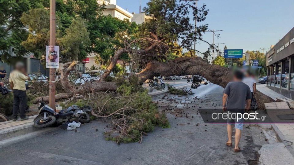 Κρήτη, πτώση δέντρου