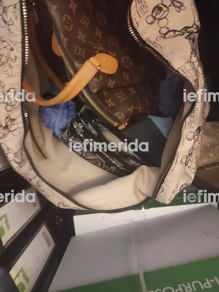 Η κλεμμένη τσάντα LV / φωτογραφία iefimerida