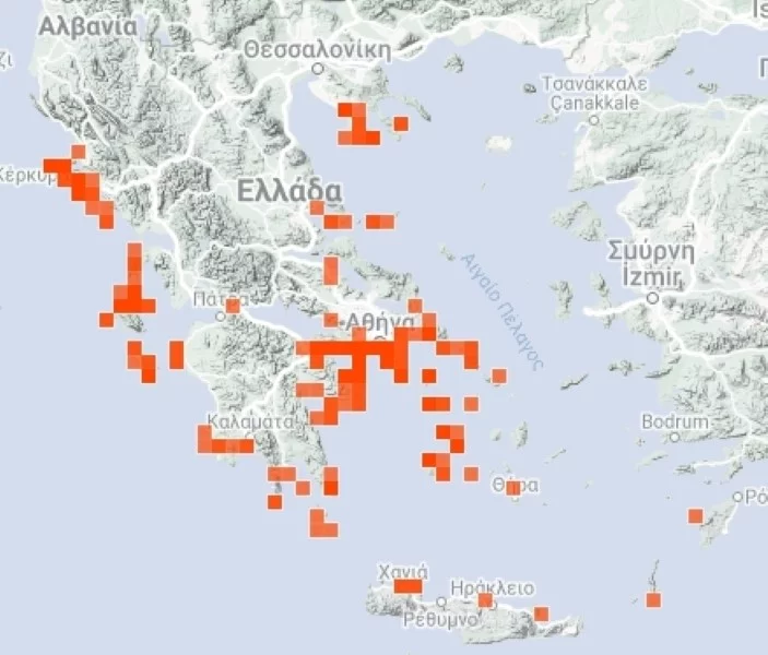 Τι ισχύει τελικά για τις μωβ μέδουσες: Σε ποιες περιοχές της Ελλάδας «συχνάζουν», πόσο επικίνδυνες είναι