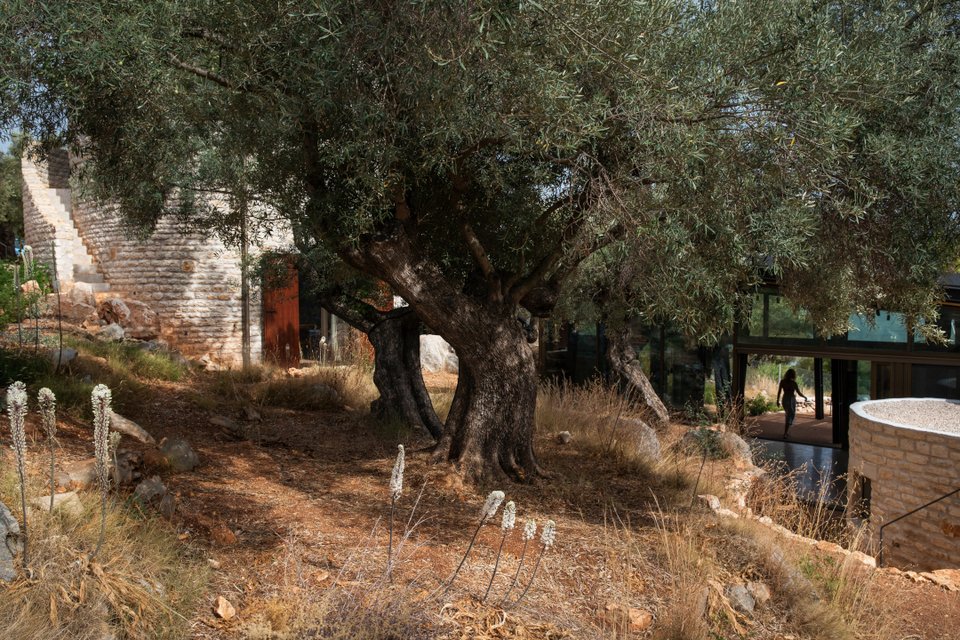 Φωτογραφία: Γιάννης Δρακουλίδης